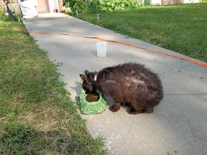 Farm & Family Veterinary Clinics Picture 2