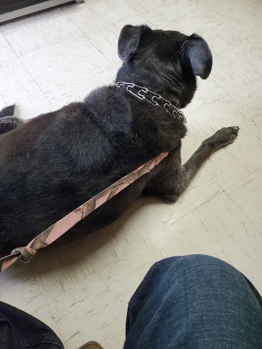 Farm & Family Veterinary Clinics Picture 4