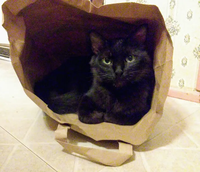 Farm & Family Veterinary Clinics Picture 3