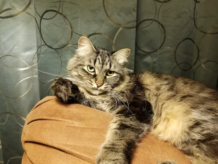 Farm & Family Veterinary Clinics Picture 6