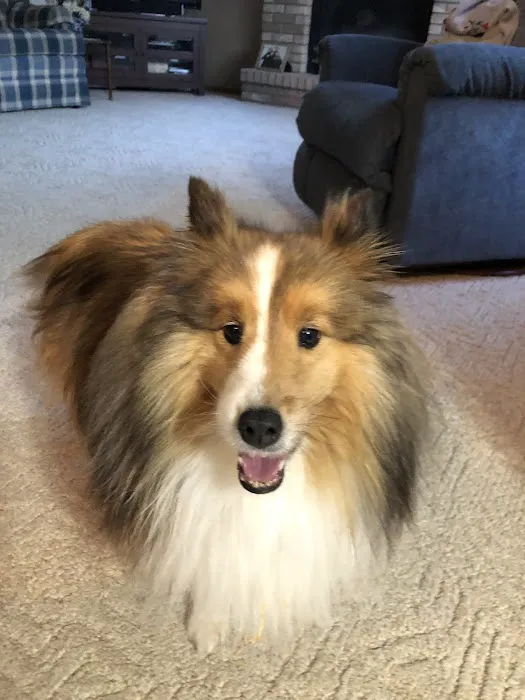 Vetco Vaccination Clinic Picture 1