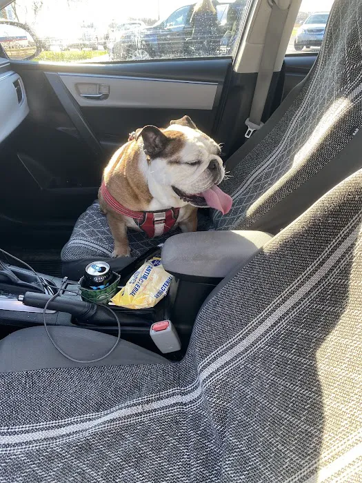 Countryside Veterinary Services of Fox Valley Picture 5