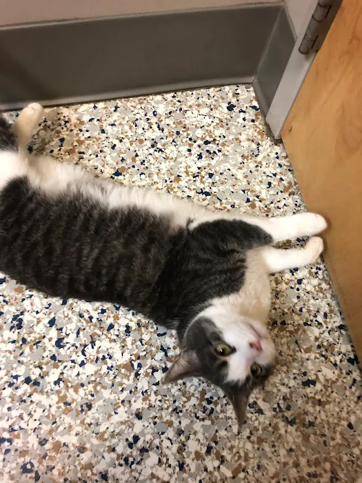 Countryside Veterinary Services of Fox Valley Picture 9