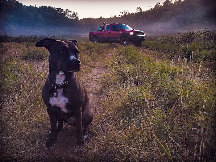 Countryside Veterinary Services of Fox Valley Picture 10