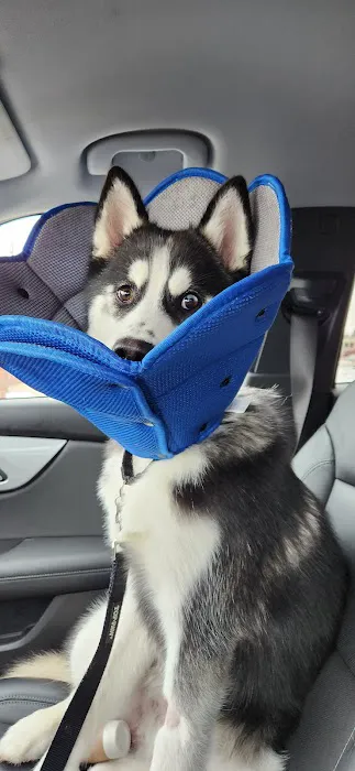 Crossroads Veterinary Clinic: Sharon Little, DVM Picture 1