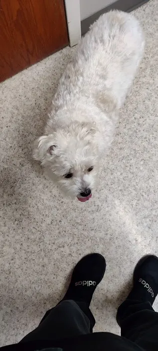 Crossroads Veterinary Clinic: Sharon Little, DVM Picture 2