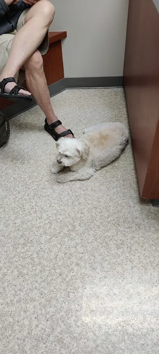 Crossroads Veterinary Clinic: Sharon Little, DVM Picture 3