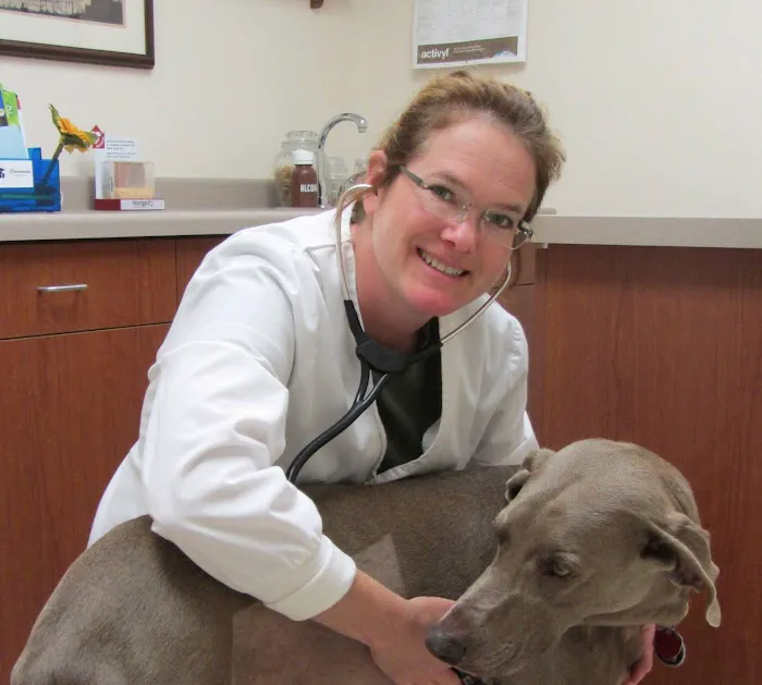 Crossroads Veterinary Clinic: Tami Strom, DVM Picture 3