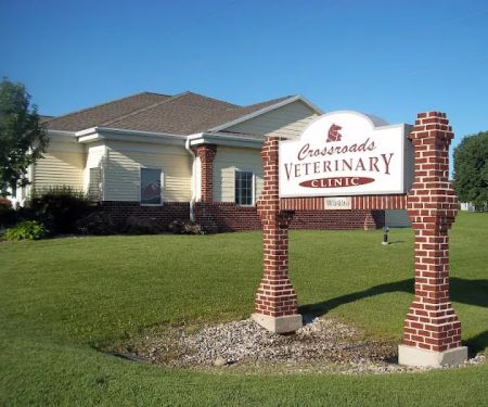Crossroads Veterinary Clinic: Tami Strom, DVM