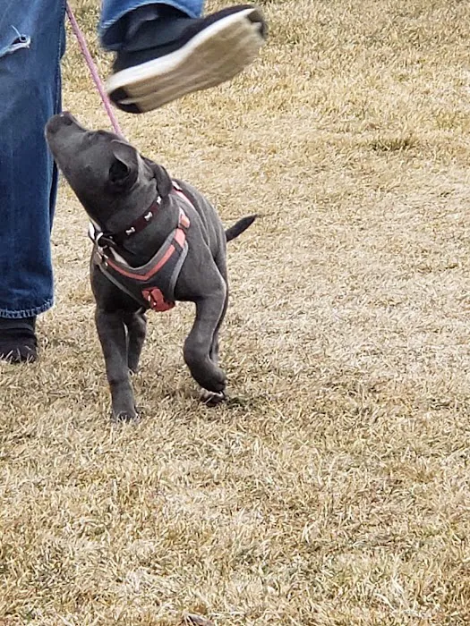 Crossroads Veterinary Clinic SC Picture 1