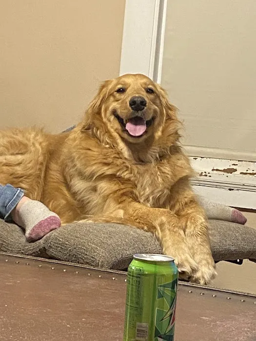 Crossroads Veterinary Clinic SC Picture 3