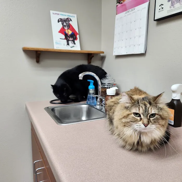 Crossroads Veterinary Clinic SC Picture 5