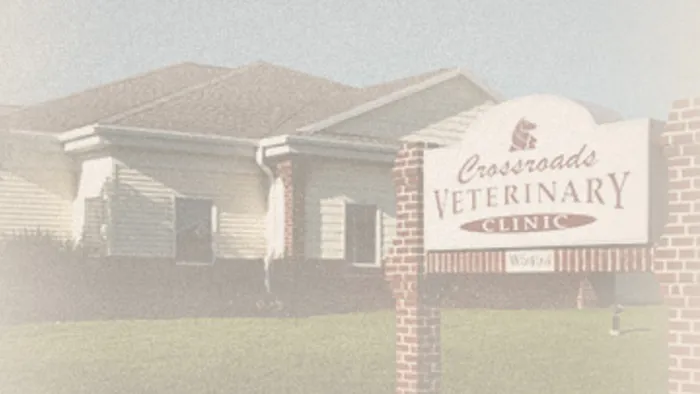 Crossroads Veterinary Clinic SC Picture 10