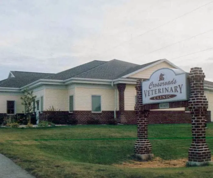 Crossroads Veterinary Clinic: Cheryl Foster, DVM Picture 3