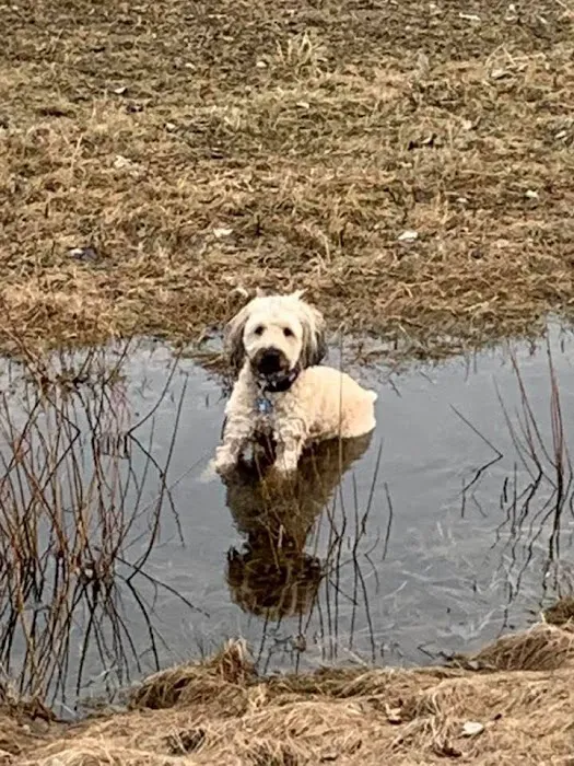 TLC Animal Hospital LLC Picture 1