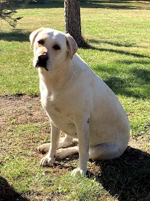 TLC Animal Hospital LLC Picture 4