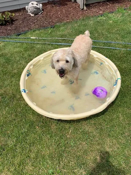 TLC Animal Hospital LLC Picture 2