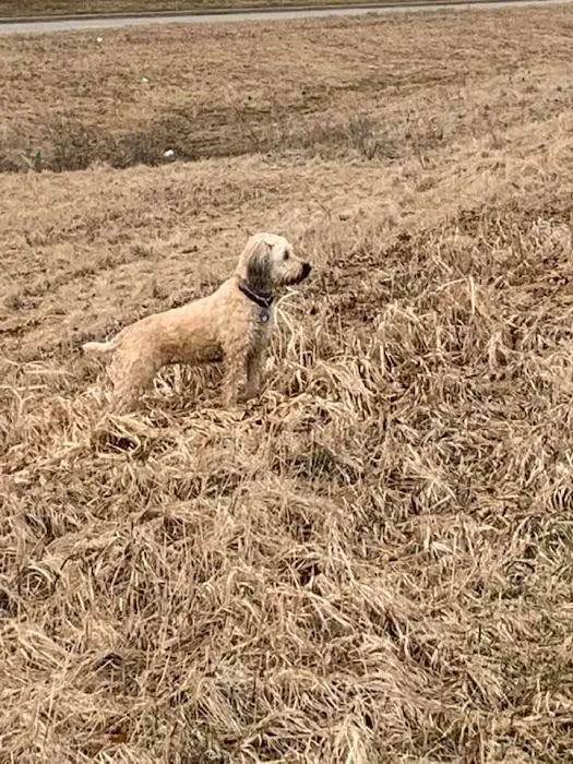 TLC Animal Hospital LLC Picture 3