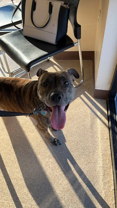 TLC Animal Hospital LLC Picture 8