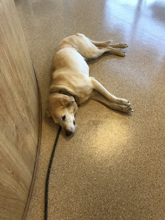 TLC Animal Hospital LLC Picture 6