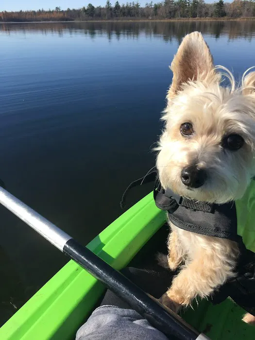 TLC Animal Hospital LLC Picture 5