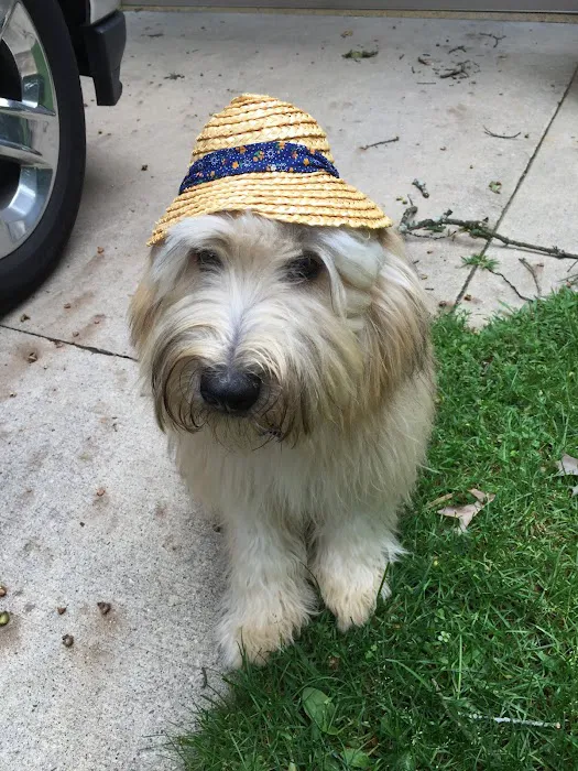 TLC Animal Hospital LLC Picture 9