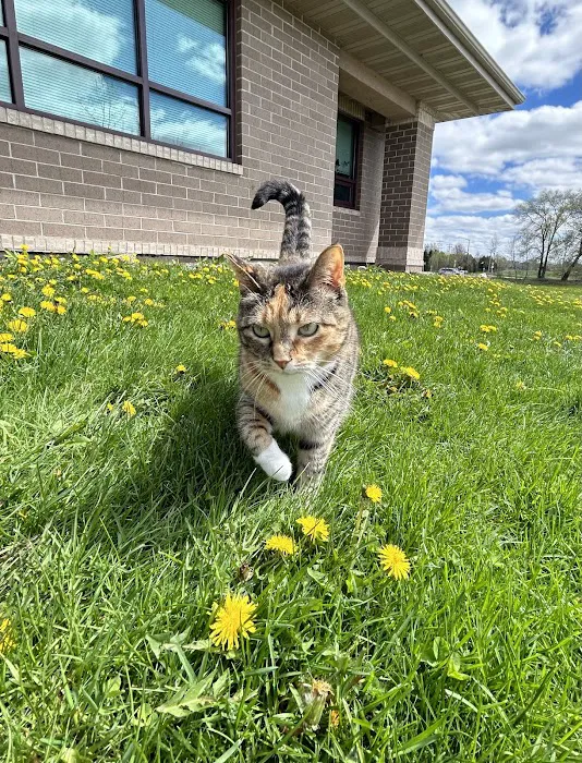 Animal Hospital of Howard Picture 2