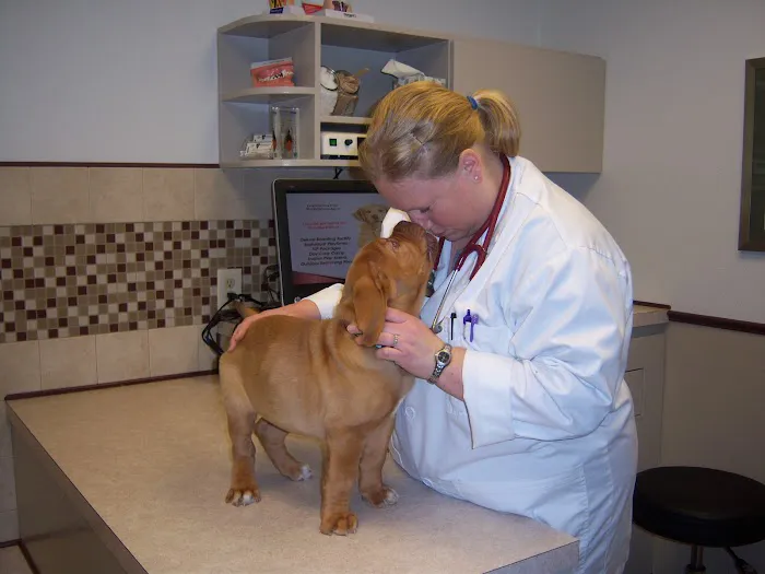 Animal Hospital of Howard Picture 8