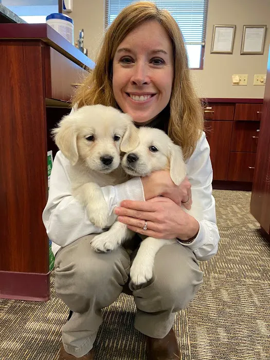 Animal Hospital of Howard Picture 10