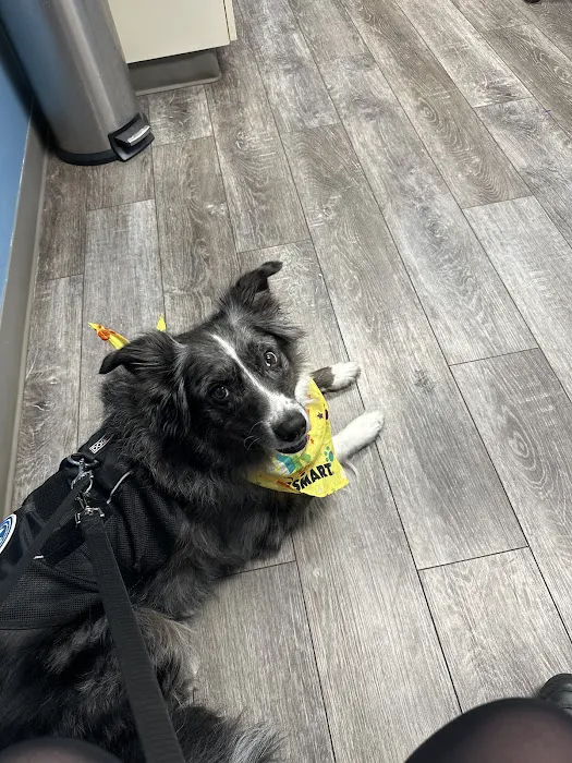 Packerland Veterinary Center Picture 1