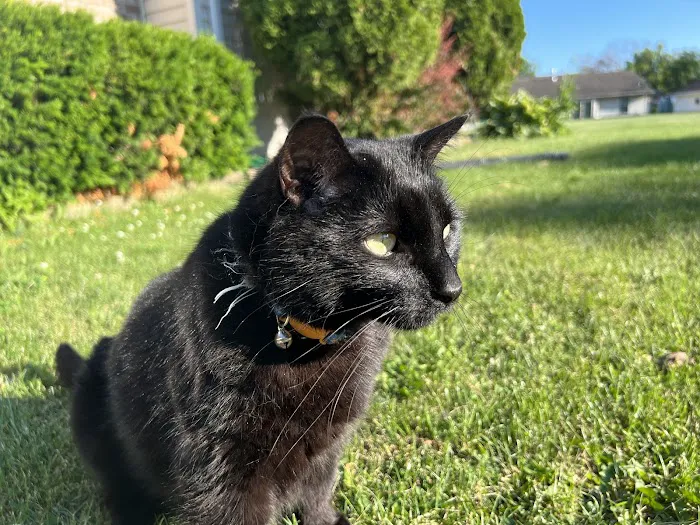 Packerland Veterinary Center Picture 4