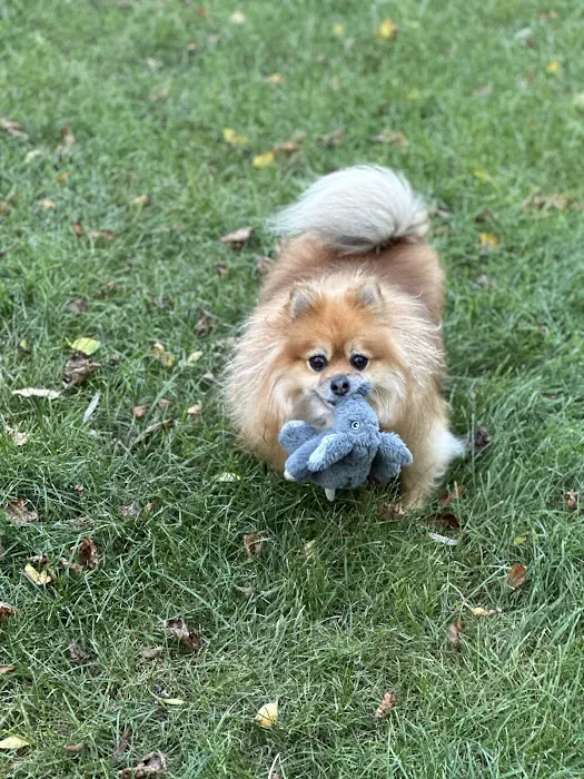 Packerland Veterinary Center Picture 2