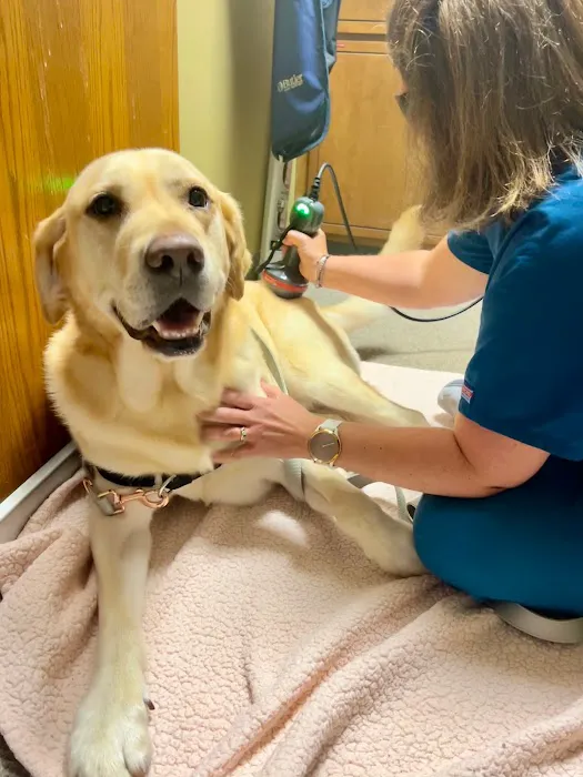 Packerland Veterinary Center Picture 7