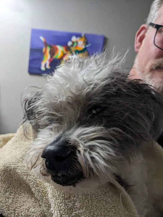 Packerland Veterinary Center Picture 8