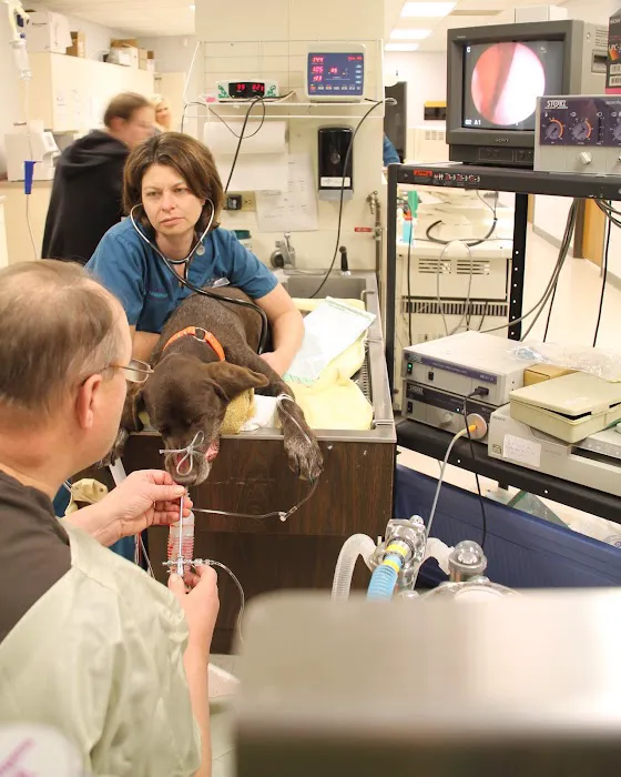 Packerland Veterinary Center Picture 10