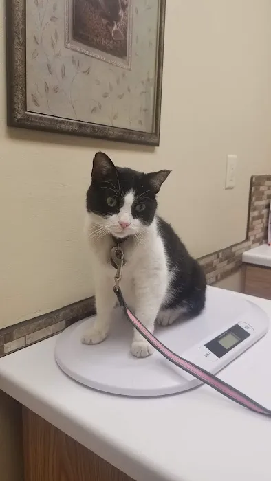 Buddy's Vets - West Picture 3