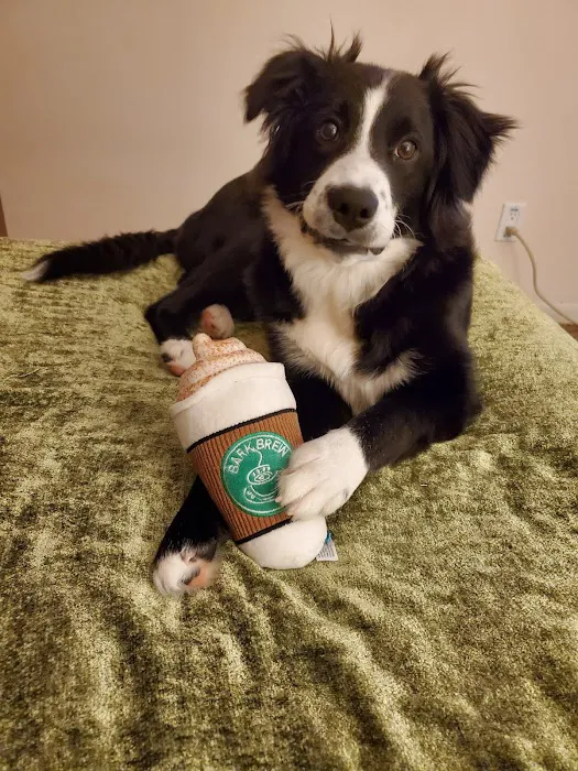 Buddy's Vets - West Picture 9