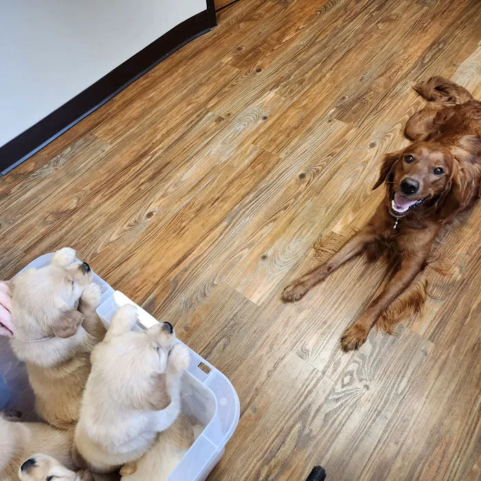 Parkside Animal Care Center Picture 2