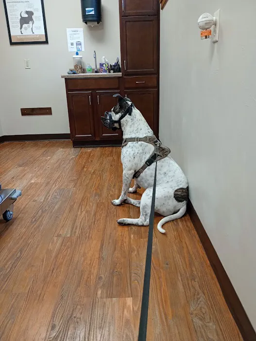 Parkside Animal Care Center Picture 1