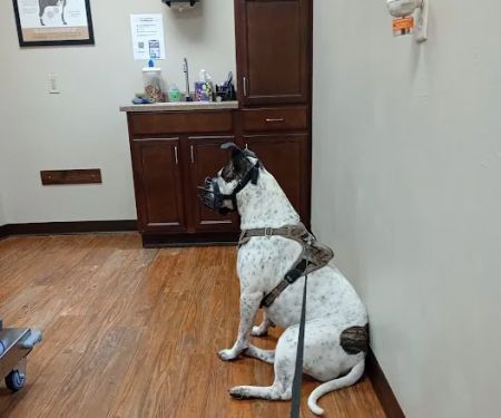 Parkside Animal Care Center