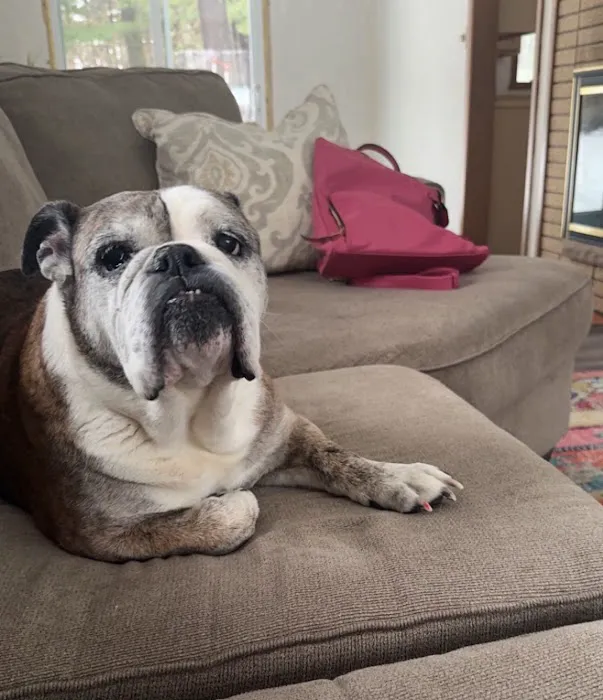 Parkside Animal Care Center Picture 7