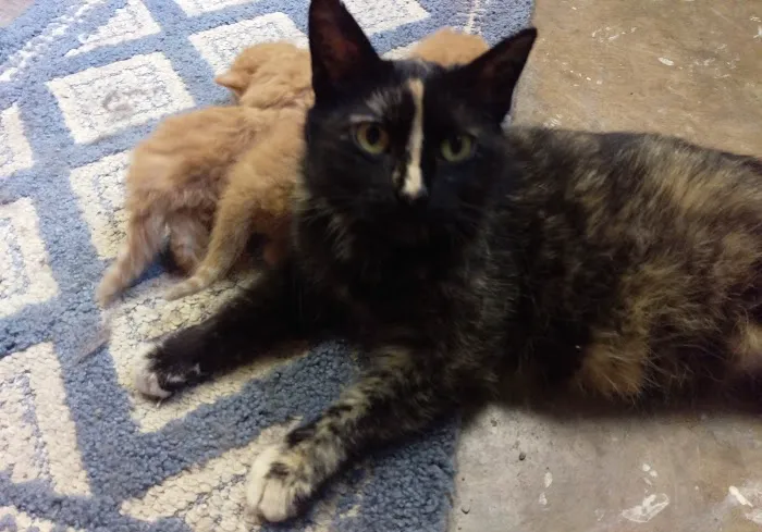 Parkside Animal Care Center Picture 4