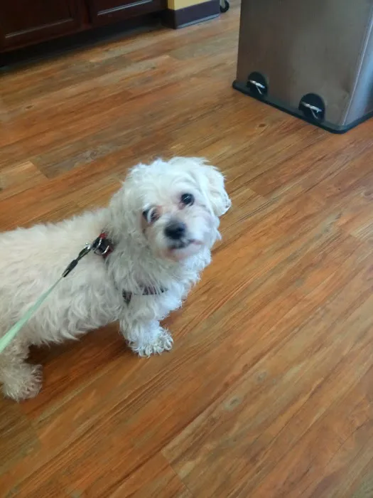 Parkside Animal Care Center Picture 5