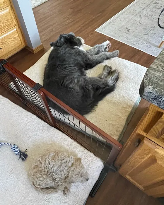 Parkside Animal Care Center Picture 8