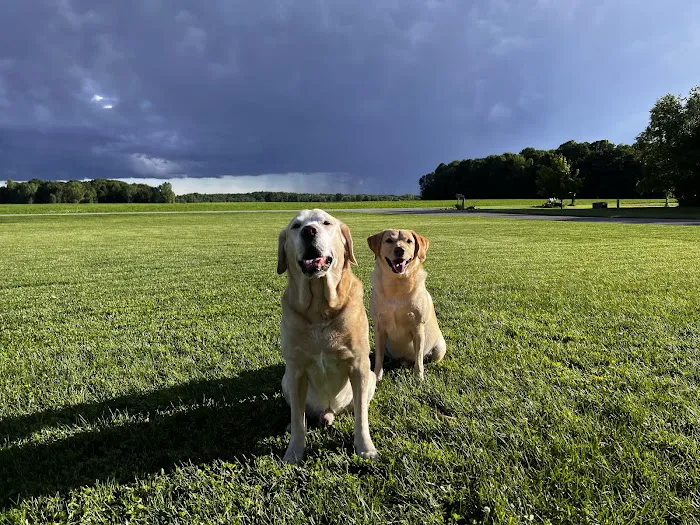 Parkside Animal Care Center Picture 9