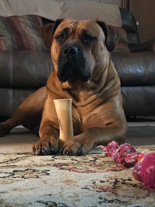 Vetco Total Care Animal Hospital Picture 1