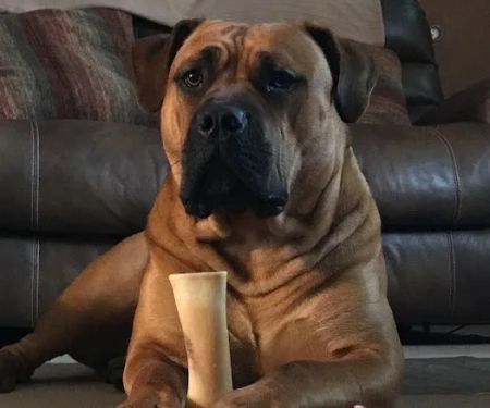 Vetco Total Care Animal Hospital