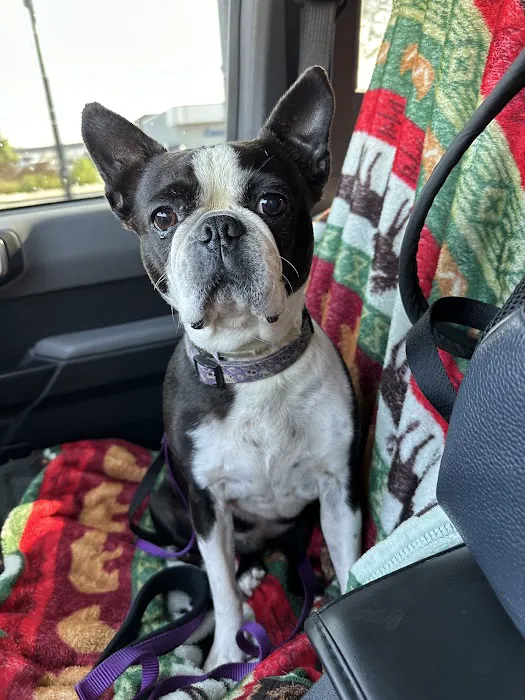 Vetco Total Care Animal Hospital Picture 3