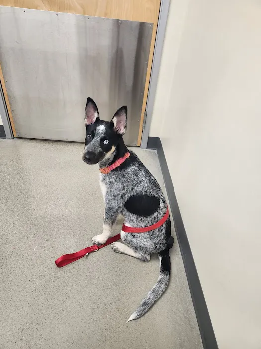 Vetco Total Care Animal Hospital Picture 4