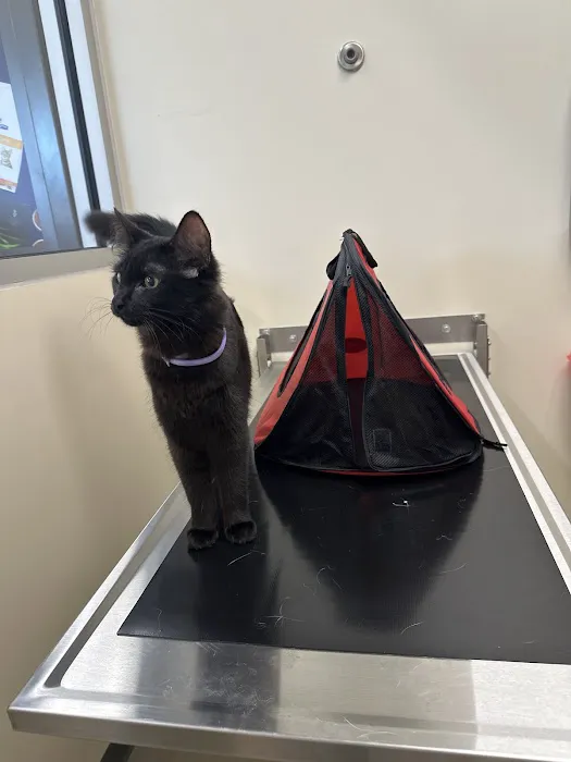 Vetco Total Care Animal Hospital Picture 9